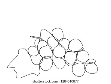 Grapes. Continuous line