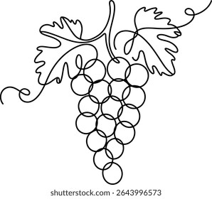 Desenho de linha contínua de uvas. Ilustração de vetor desenhada à mão isolada em fundo branco.