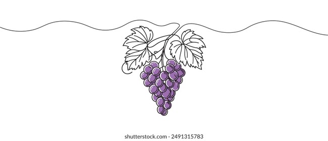 Grapes in continuous line drawing style. Vector illustration.