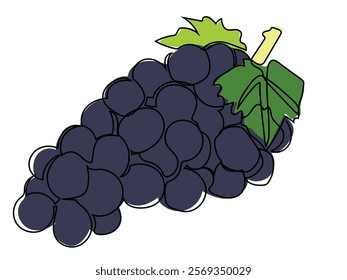 Grapes in a continuous line style that can be edited later.