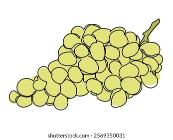 Grapes in a continuous line style that can be edited later.