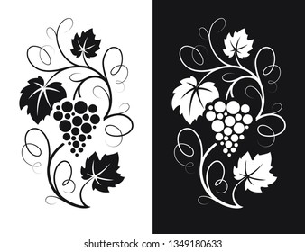 Grapes decorative pattern for wine design concept. Floral ornament in retro style. Vector illustration.