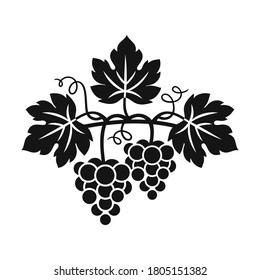 Grapes decorative pattern for wine design concept, bar menu, juice drinks, fruit juices, healthy vegan food, viticulture, wine or juice label, grape seed oil on white background. Vector illustration.