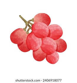 grapes Design elements. watercolour style vector illustration.