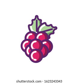 Grapes design, Fruit healthy organic food sweet and nature theme Vector illustration