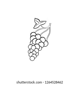 grapes doodle icon vector drawing 