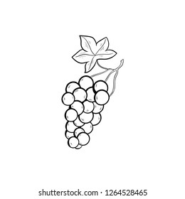 grapes doodle icon vector drawing 