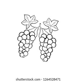 grapes doodle icon vector drawing 