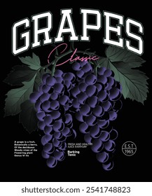 Uvas punteadas Línea Vector dibujado boceto ilustración, tipografía universitaria uvas eslogan texto de moda impresión de arte Vector grabado vintage ilustración de uvas en la rama en estilo retro