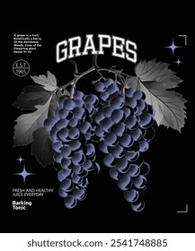 Ilustración de boceto dibujado de uvas, tipografía universitaria, ilustración de impresión de texto de eslogan de uvas. ilustración de grabado vintage de Vector de uvas en la rama en estilo retro.