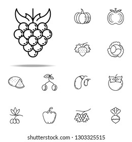 grapes dusk style icon. Vegetables icons universal set for web and mobile