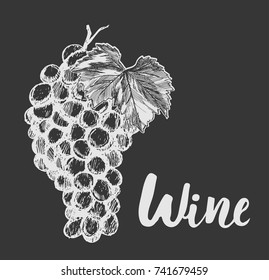 Grapes engraving vector illustration. Ink line draw vector. Drawing engraving illustration