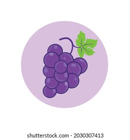 Grapes flat style Free Vector. Bunch of purple grapes with stem and leaf