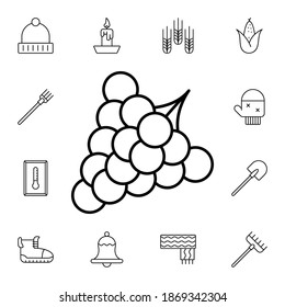 Grapes flat vector icon in autumn pack