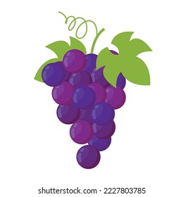 grapes flat vector illustration isolated clipart