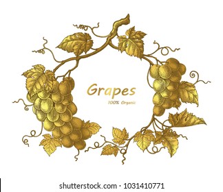 Grapes frame hand drawing vintage engraving illustration with gold color