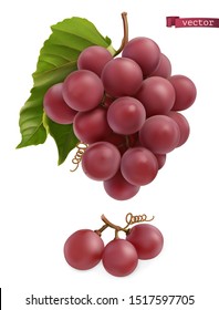 Grapes. Fresh fruit, 3d realistic vector