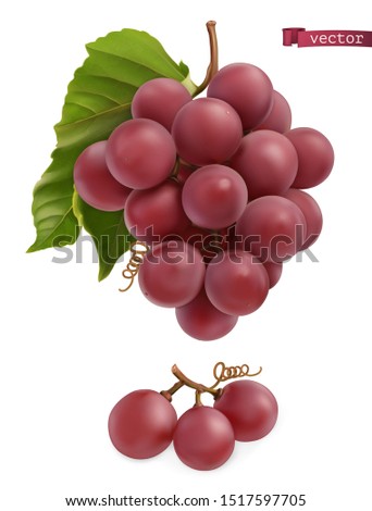 Grapes. Fresh fruit, 3d realistic vector