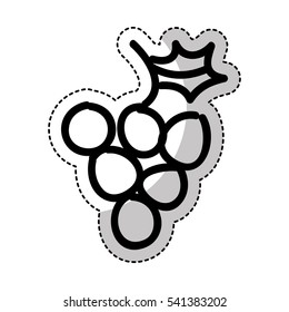 grapes fresh fruit drawing icon vector illustration design