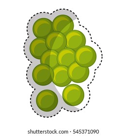 grapes fresh fruit drawing icon vector illustration design