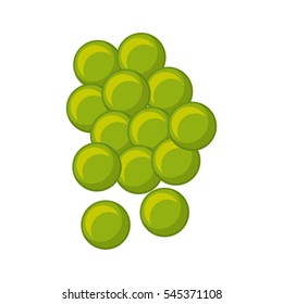 grapes fresh fruit drawing icon vector illustration design