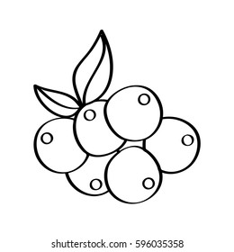 grapes fresh fruit drawing icon