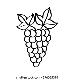grapes fresh fruit drawing icon