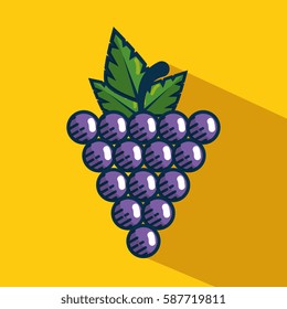 grapes fresh fruit handmade drawn