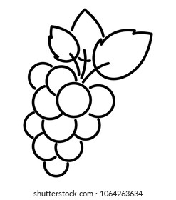 grapes fresh fruit icon