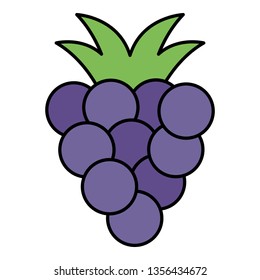 grapes fresh fruit icon