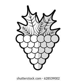 grapes fresh fruit icon