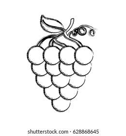 grapes fresh fruit icon