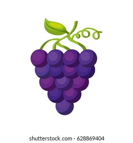 grapes fresh fruit icon