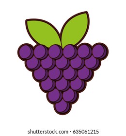 grapes fresh fruit icon