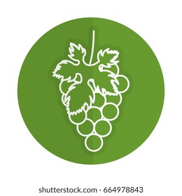 grapes fresh fruit icon