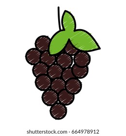 grapes fresh fruit icon