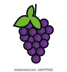 grapes fresh fruit icon
