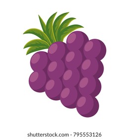 grapes fresh fruit icon