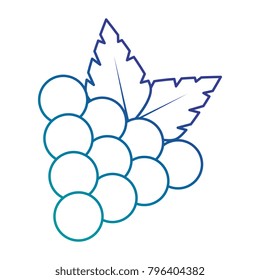 grapes fresh fruit icon