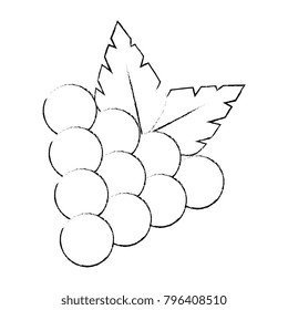 grapes fresh fruit icon