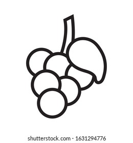 grapes fresh fruit isolated icon vector illustration design