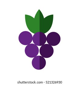 grapes fresh fruit isolated icon vector illustration design