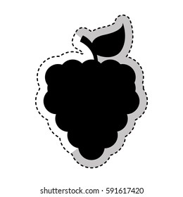 grapes fresh fruit isolated icon