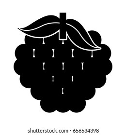 grapes fresh fruit isolated icon