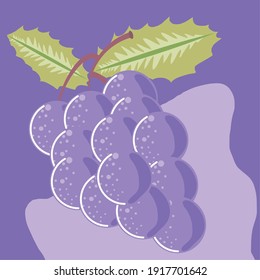 grapes fresh fruit organic healthy food vector illustration