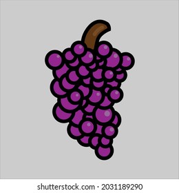 Grapes fresh fruit vector illustration