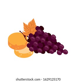 grapes fresh fruits and breads vector illustration design