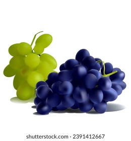 Grapes. Fresh, nutritious, tasty grapes. A delicious and healthy dessert. Elements for label design. Fruit ingredients in mesh technique. Vector illustration.