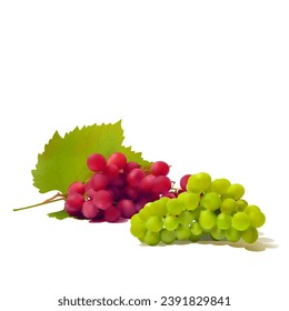 Grapes. Fresh, nutritious, tasty grapes. A delicious and healthy dessert. Elements for label design. Fruit ingredients in mesh technique. Vector illustration.