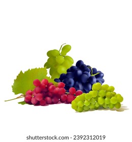 Grapes. Fresh, nutritious, tasty grapes. A delicious and healthy dessert. Elements for label design. Fruit ingredients in mesh technique. Vector illustration.